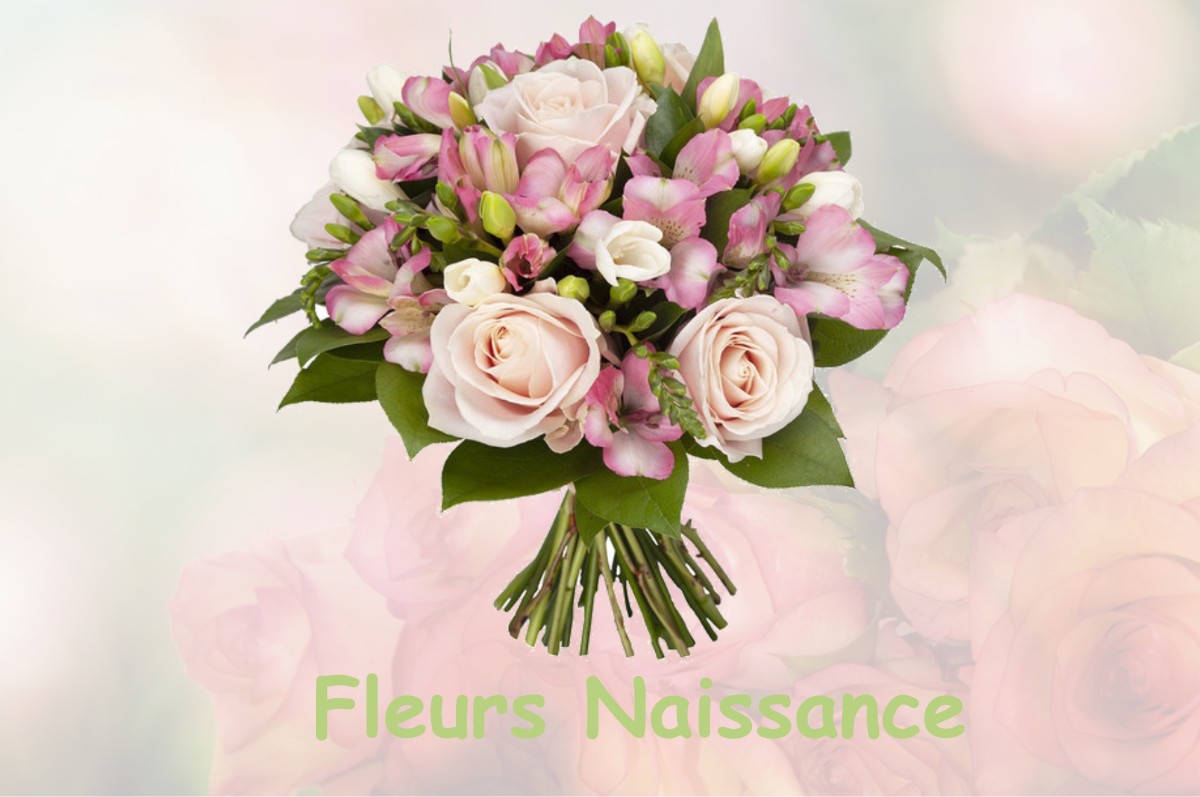 fleurs naissance SAVARTHES